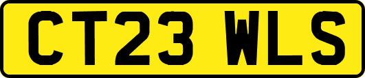 CT23WLS