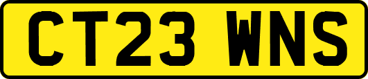 CT23WNS