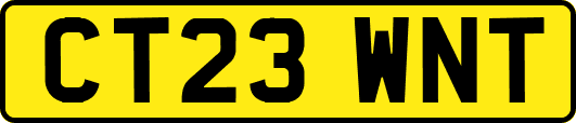 CT23WNT