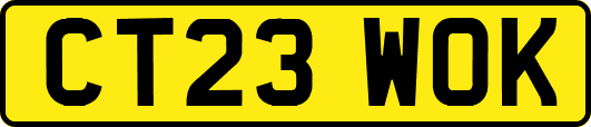CT23WOK