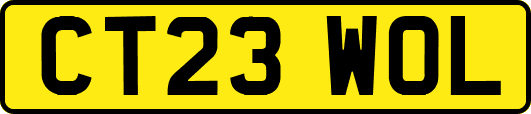CT23WOL