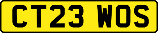 CT23WOS