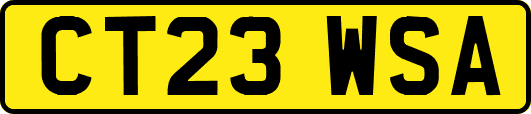 CT23WSA