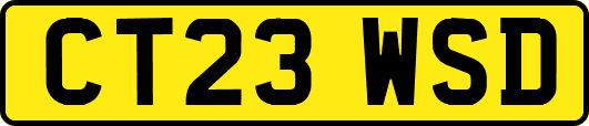 CT23WSD