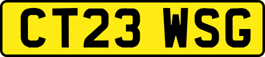 CT23WSG