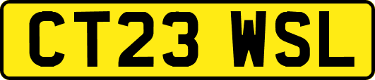 CT23WSL