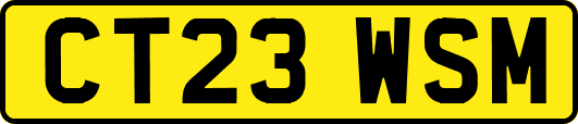 CT23WSM