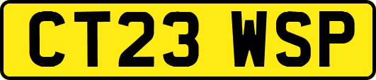CT23WSP