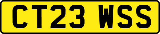 CT23WSS