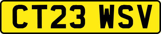 CT23WSV