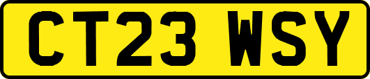 CT23WSY