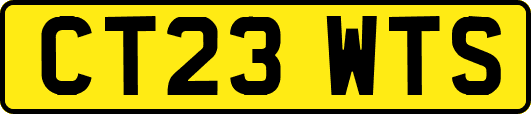 CT23WTS