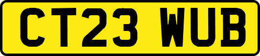 CT23WUB