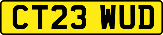 CT23WUD