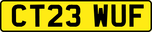 CT23WUF