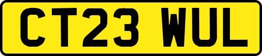 CT23WUL