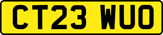 CT23WUO