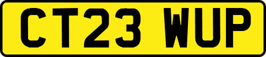 CT23WUP