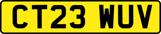 CT23WUV