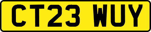 CT23WUY