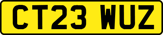 CT23WUZ