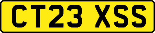 CT23XSS