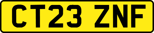 CT23ZNF