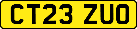 CT23ZUO