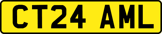 CT24AML