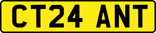 CT24ANT