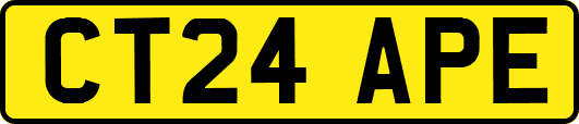 CT24APE