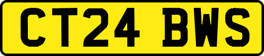 CT24BWS