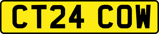 CT24COW