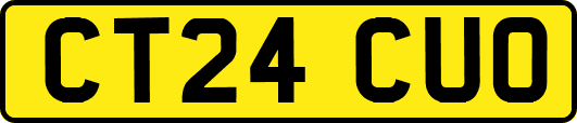 CT24CUO