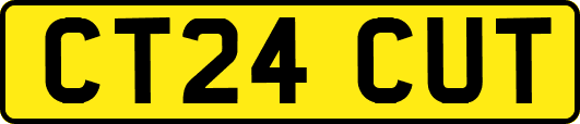 CT24CUT