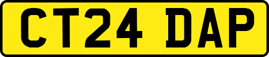 CT24DAP