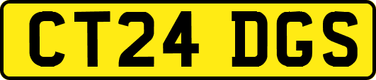 CT24DGS