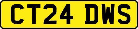CT24DWS