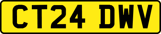 CT24DWV
