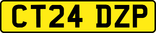 CT24DZP