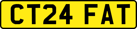 CT24FAT