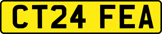 CT24FEA