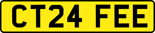 CT24FEE