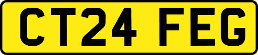 CT24FEG