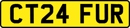 CT24FUR