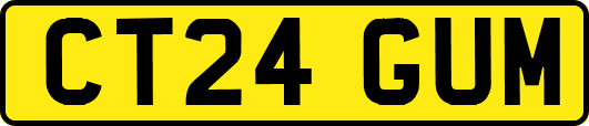 CT24GUM