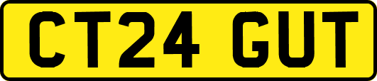 CT24GUT