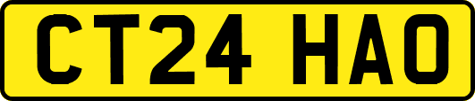 CT24HAO