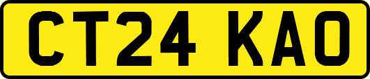 CT24KAO