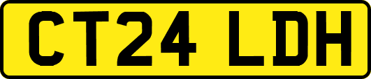 CT24LDH